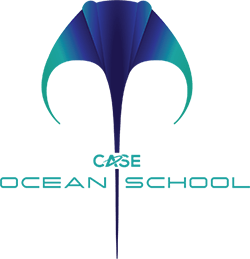 Ocean School logo Colour Green Text 250w-1-min